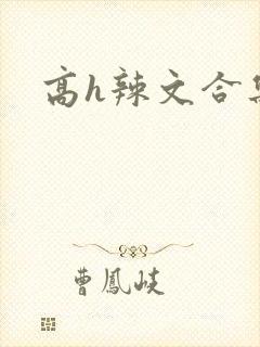 高h辣文合集