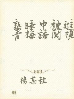 熟睡中被进了H青梅诱哄视频