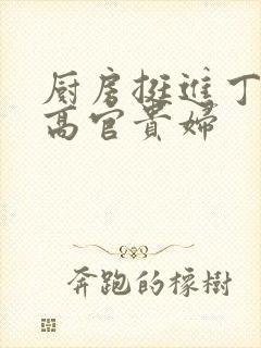 厨房挺进丁字裤高官贵妇