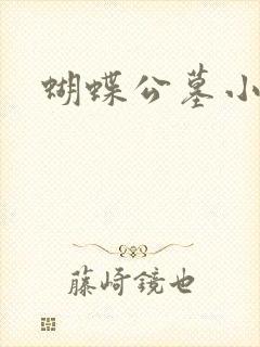 蝴蝶公墓小说封面
