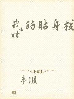 我的贴身校花txt