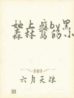 她上瘾by黑暗森林写的小说免费阅读无弹窗