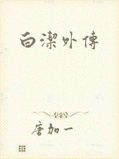 白洁外传封面
