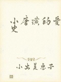 小唐璜的爱情历史