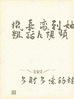机长脔到她哭h粗话h视频