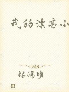 我的漂亮小后妈