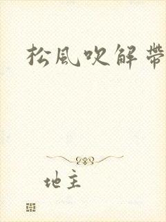 松风吹解带封面