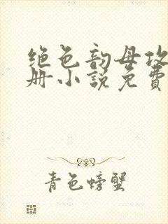 绝色韵母攻略手册小说免费阅读