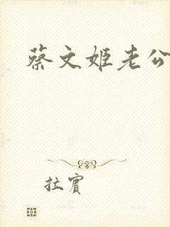 蔡文姬老公封面