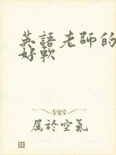 英语老师的兔子好软