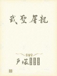 武圣屠龙封面