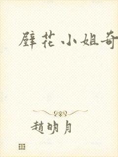 壁花小姐奇遇记
