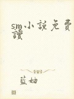 sm小说免费阅读