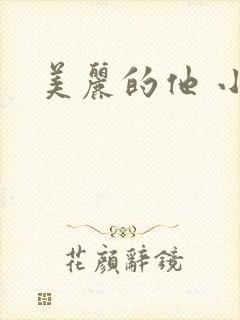 美丽的他 小说
