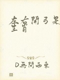 左右开弓是什么生肖