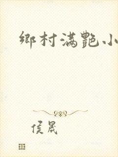 乡村满艳小说封面