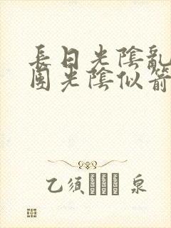 长日光阴乱作一团光阴似箭封面