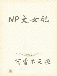 NP文女配