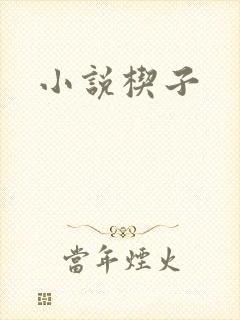 小说楔子封面