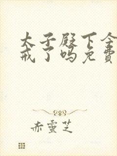 太子殿下今天破戒了吗免费阅读