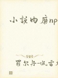 小说肉糜np