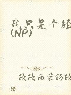我只是个经纪人(NP)封面