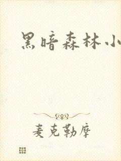 黑暗森林小说