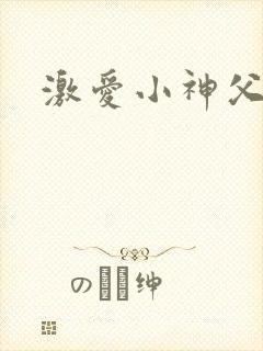 激爱小神父