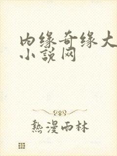 内缘奇缘大团圆小说网