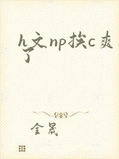 h文np挨c爽了封面