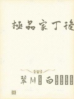 极品家丁后传