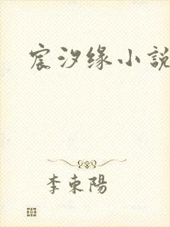 宸汐缘小说封面