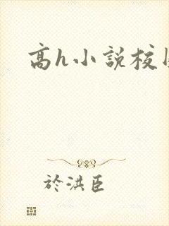 高h小说校园封面