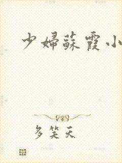 少妇苏霞小说