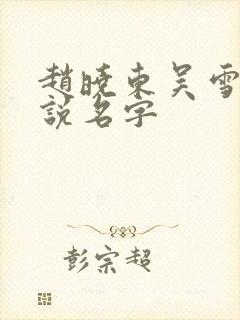 赵晓东吴雪晴小说名字