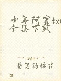 少年阿宾txt全集下载封面