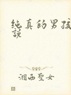 纯真的男孩子小说
