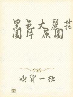 黑色大丽花真实图片 原图