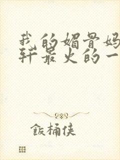 我的媚骨妈妈林轩最火的一句