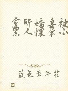 会所娇妻被多个黑人怀孕小说封面