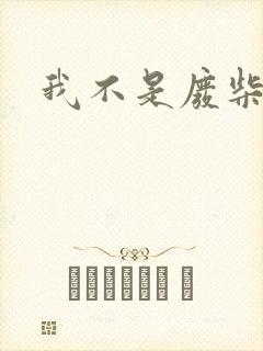 我不是废柴