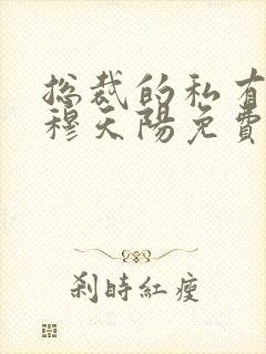 总裁的私有宝贝穆天阳免费封面