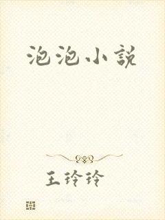 泡泡小说封面