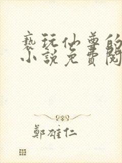 亵玩仙尊的道侣小说免费阅读