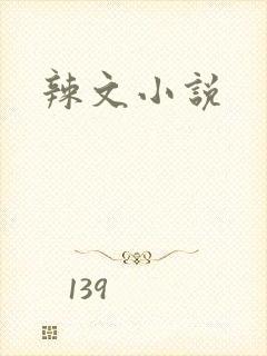 辣文小说
