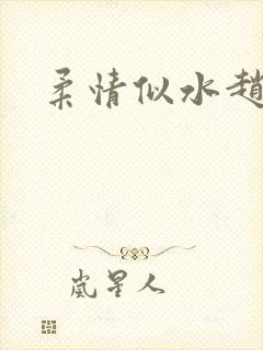 柔情似水赵雅儿