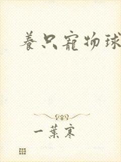 养只宠物球