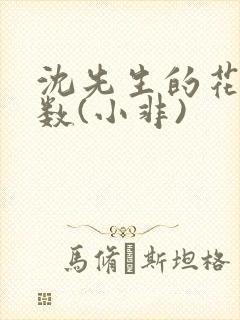 沈先生的花式调数(小非)