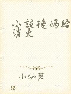 小说后妈给我消消火封面