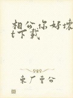 相公你好坏txt下载